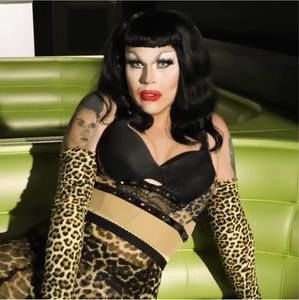 Meet your Posher, Stevie